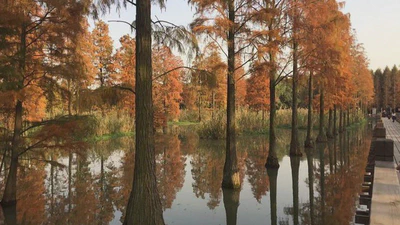 2025 Autumn Tour featured image